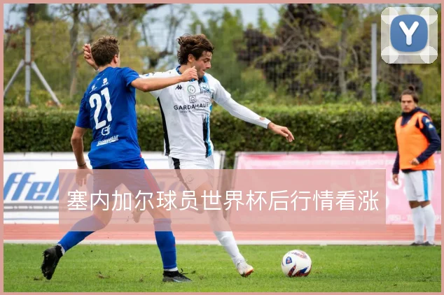 塞内加尔球员世界杯后行情看涨
