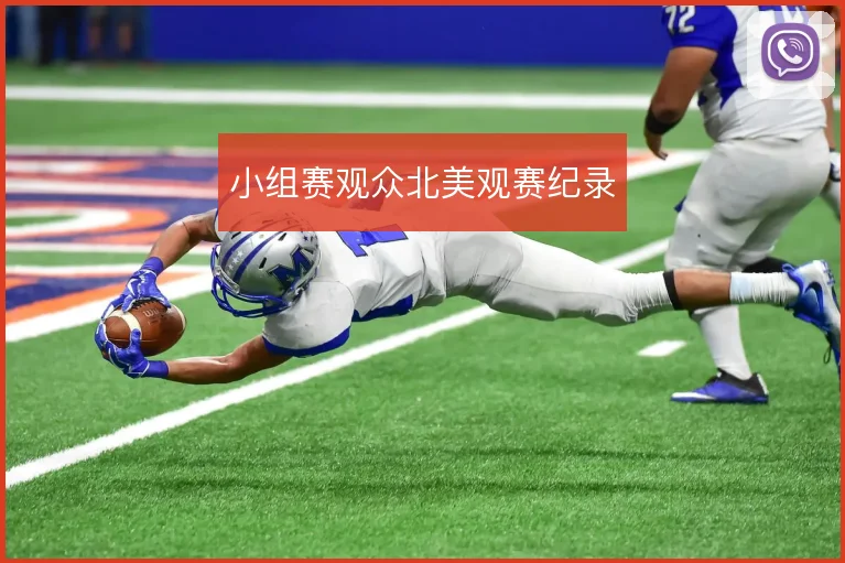 小组赛观众北美观赛纪录