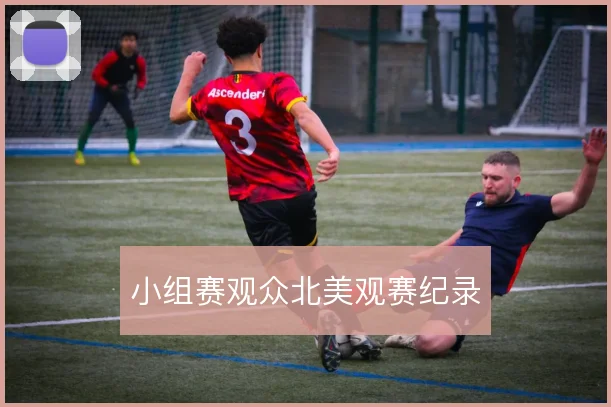 小组赛观众北美观赛纪录