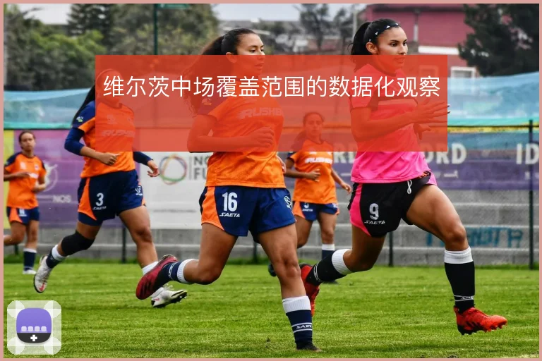 维尔茨中场覆盖范围的数据化观察