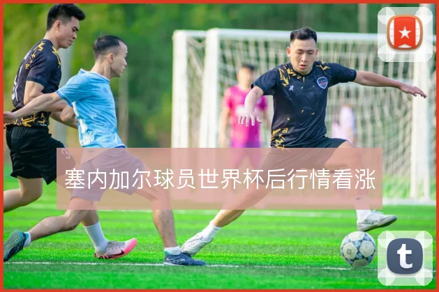 塞内加尔球员世界杯后行情看涨