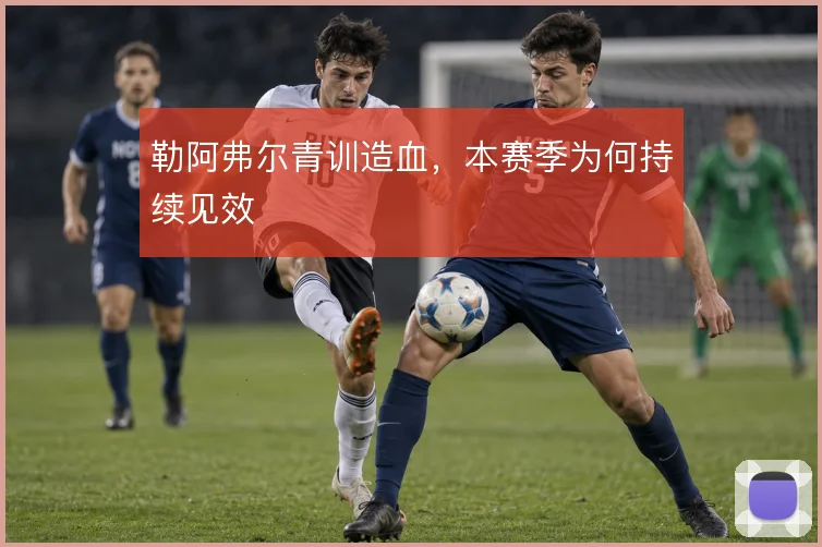 勒阿弗尔青训造血，本赛季为何持续见效
